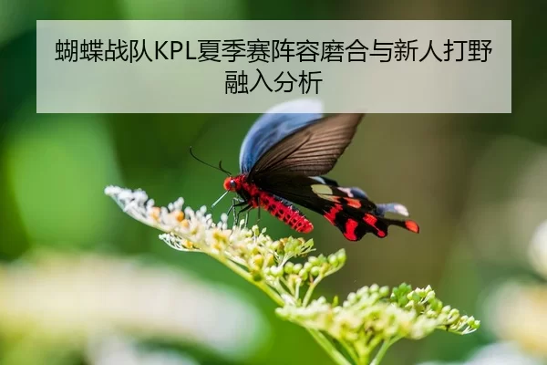 蝴蝶战队KPL夏季赛阵容磨合与新人打野融入分析