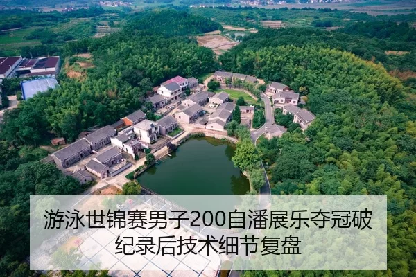 游泳世锦赛男子200自潘展乐夺冠破纪录后技术细节复盘