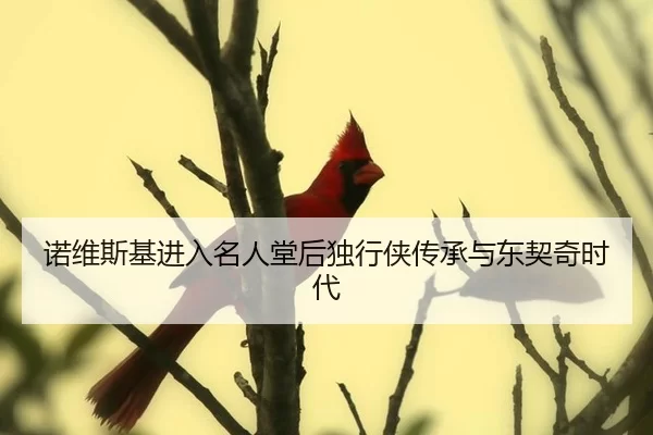 诺维斯基进入名人堂后独行侠传承与东契奇时代